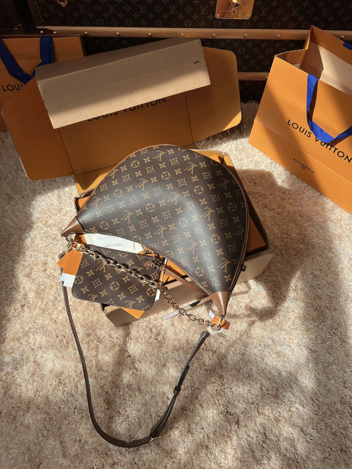 LV Loop Monogram Canvas Hobo Shoulder Crossbody Bag with Chain Detail
