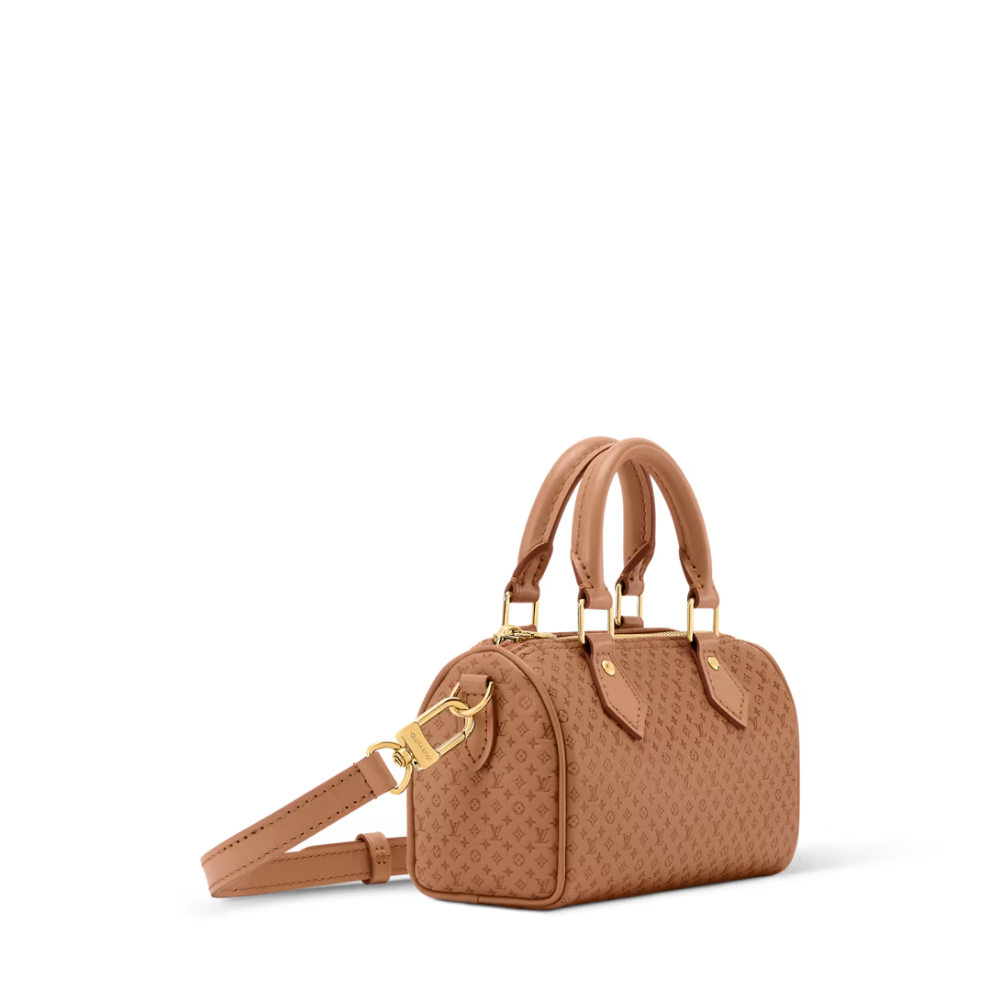 LV Signature Nano Speedy Handbag