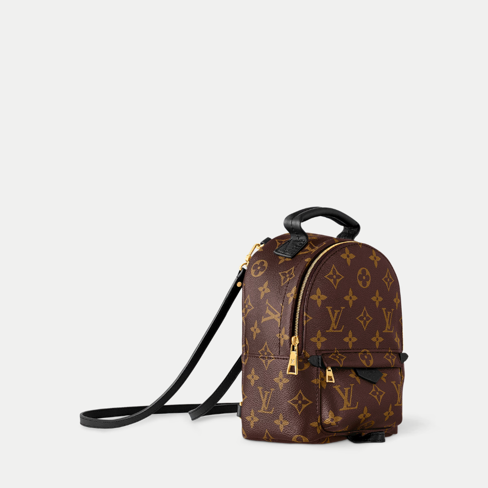 LV Palm Springs Mini Backpack - Brown