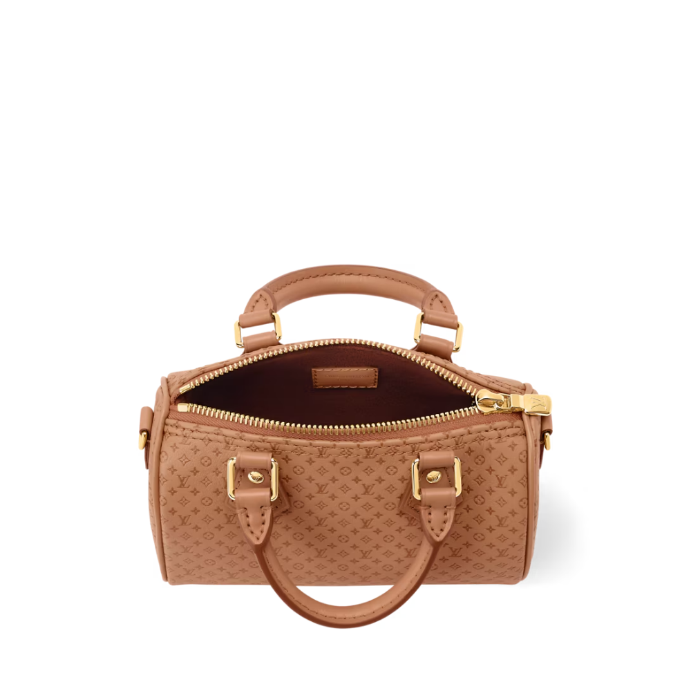 LV Signature Nano Speedy Handbag
