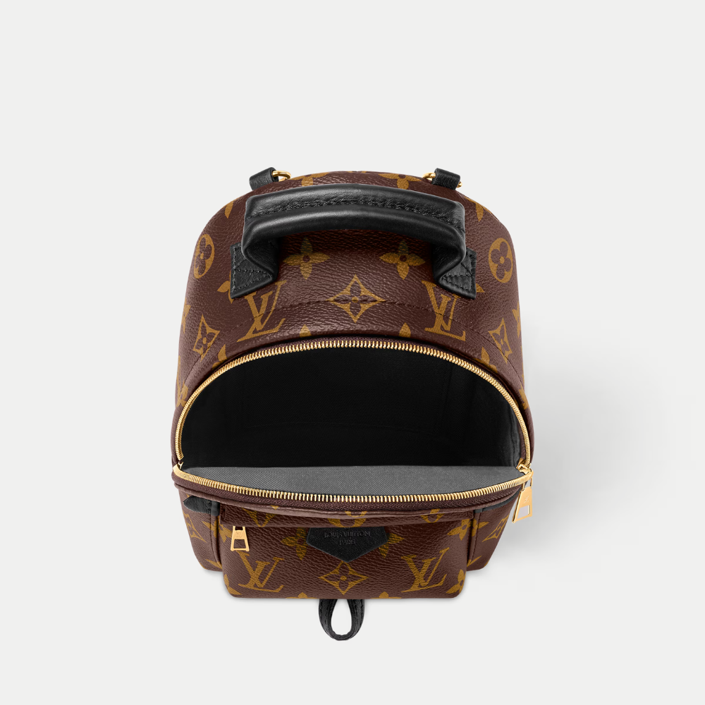 LV Palm Springs Mini Backpack - Brown