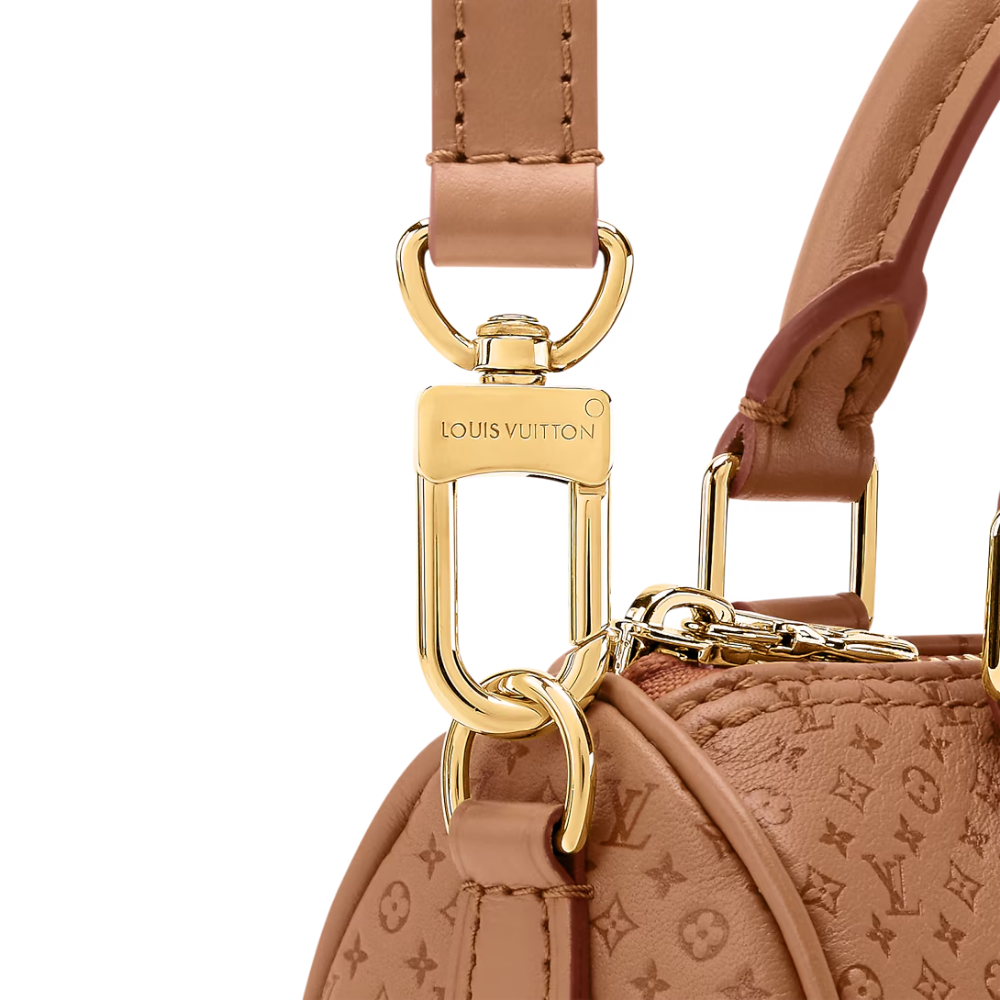 LV Signature Nano Speedy Handbag