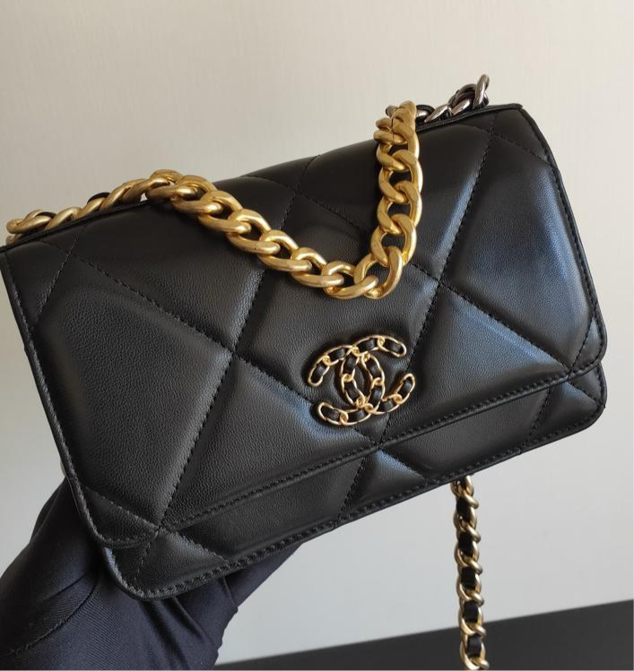 Chanel 19 Wallet On Chain WOC Bag