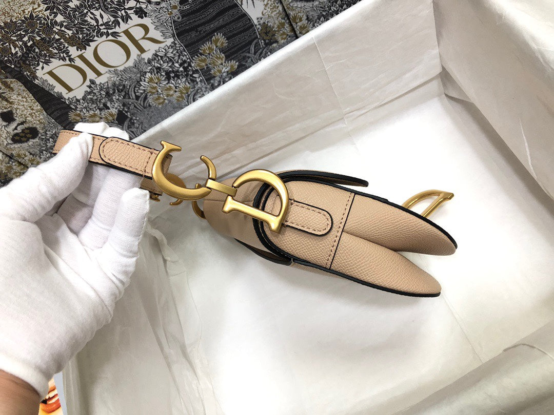 Dior Saddle Small Nude Color Saddle Bag