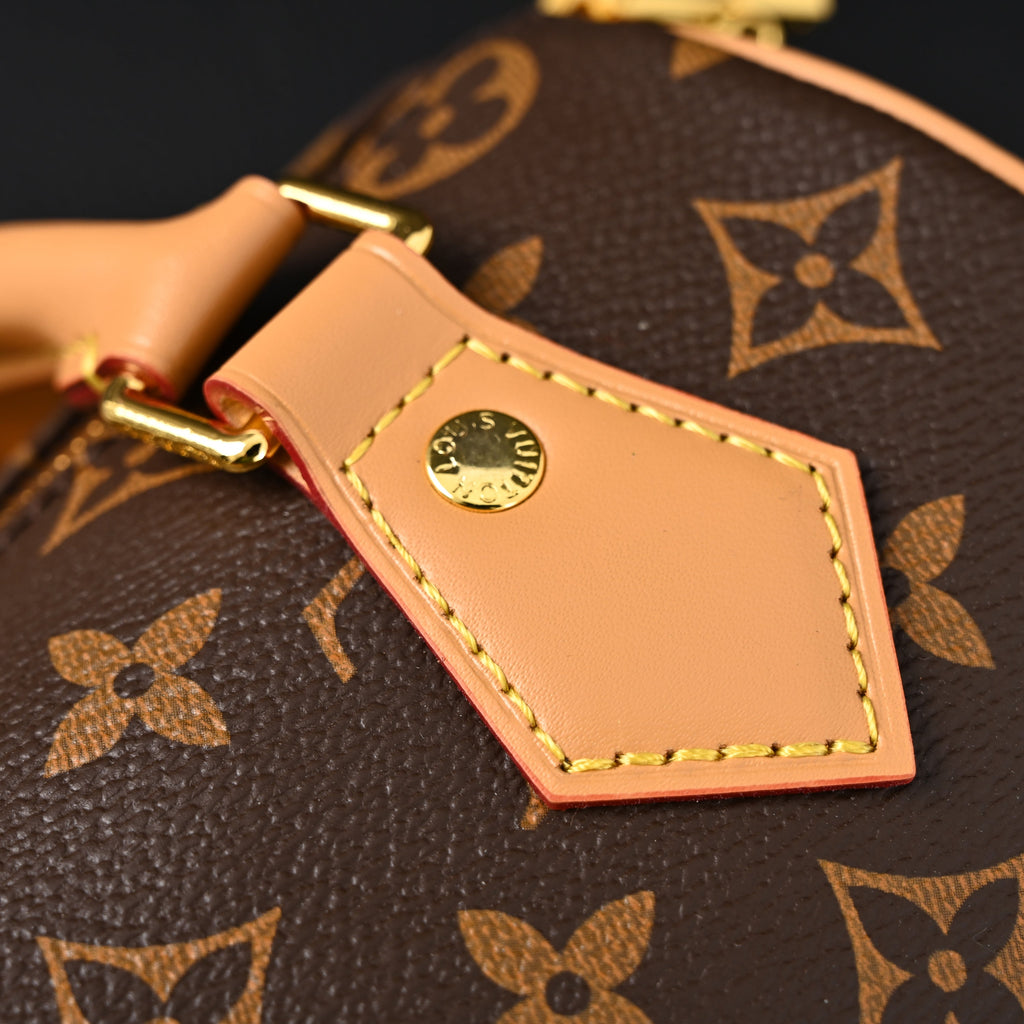 Louis Vuitton Speedy Bandoulière 25 Monogram Canvas Handbag