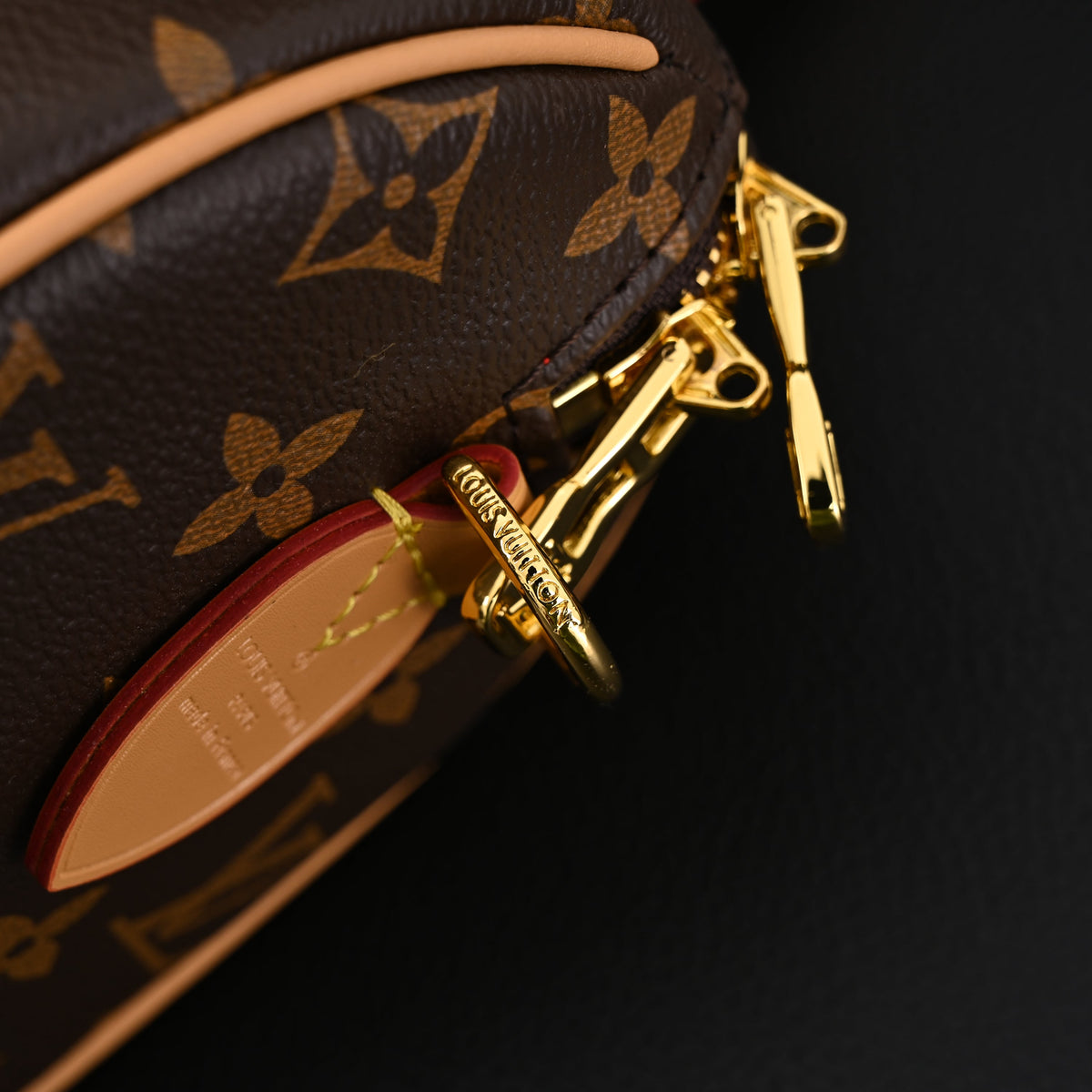Louis Vuitton Speedy Bandoulière 25 Monogram Canvas Handbag