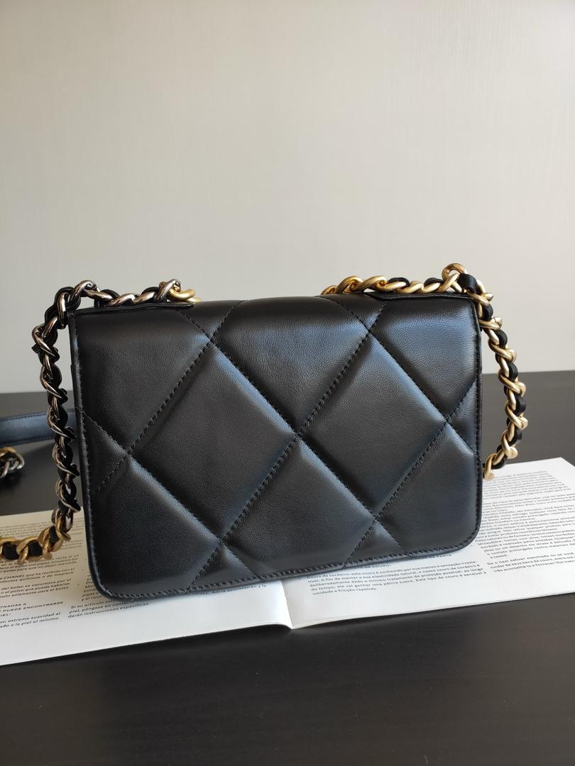 Chanel 19 Wallet On Chain WOC Bag