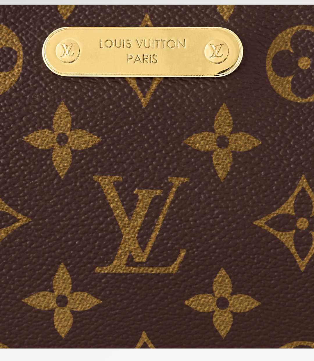 Louis Vuitton Liv Pochette Coated Canvas