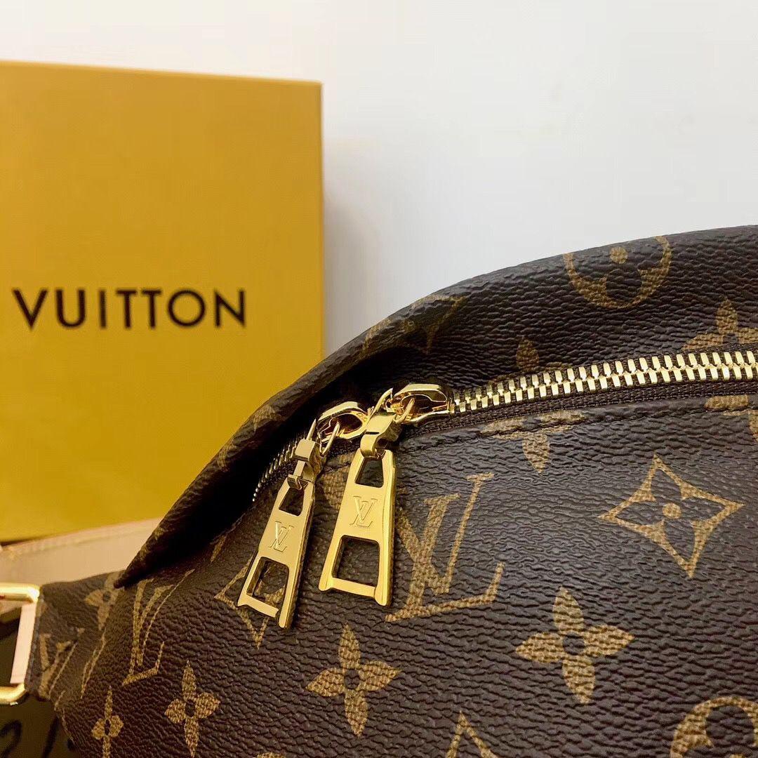 Louis Vuitton Bumbag Monogram Canvas