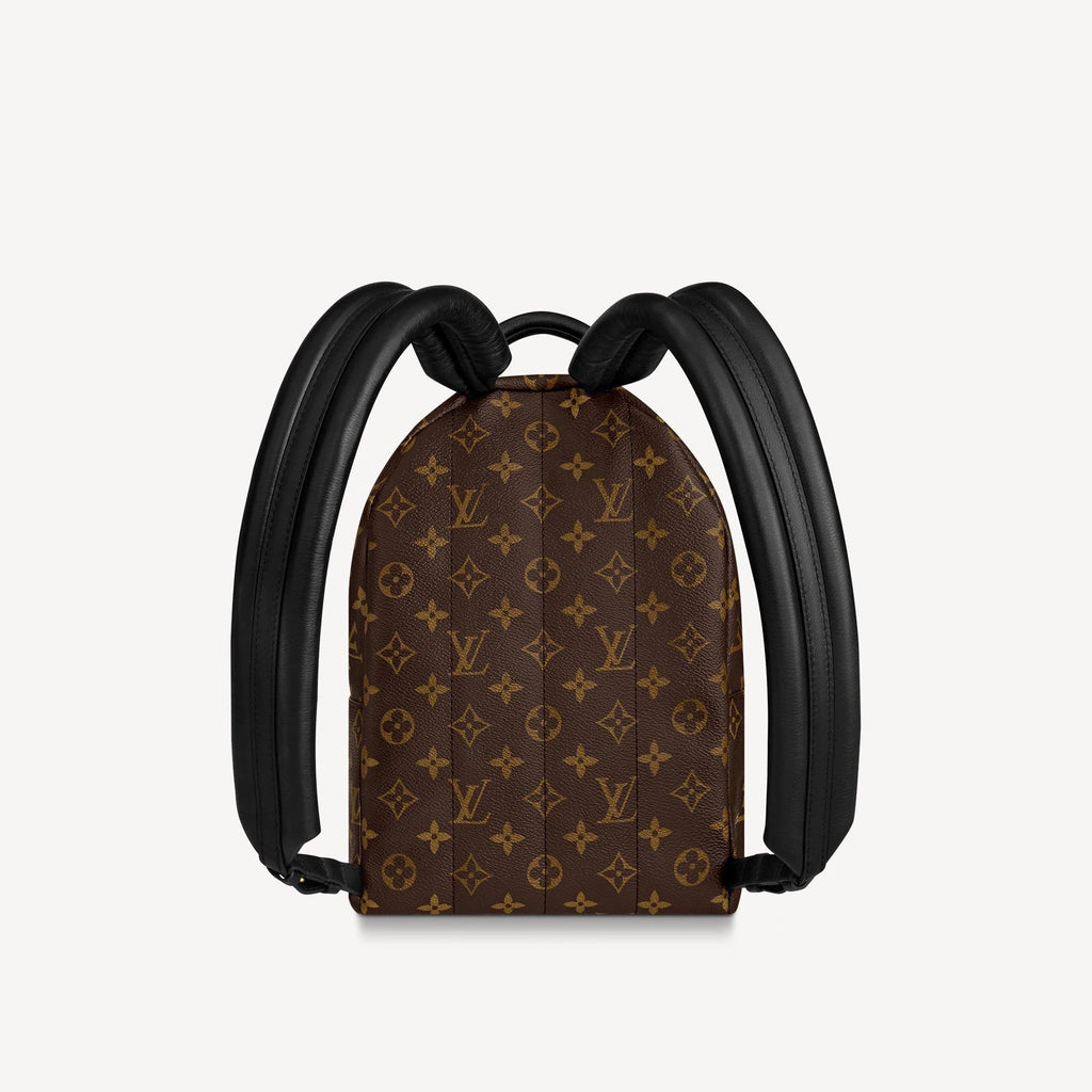 Louis Vuitton Palm Springs PM Handbag