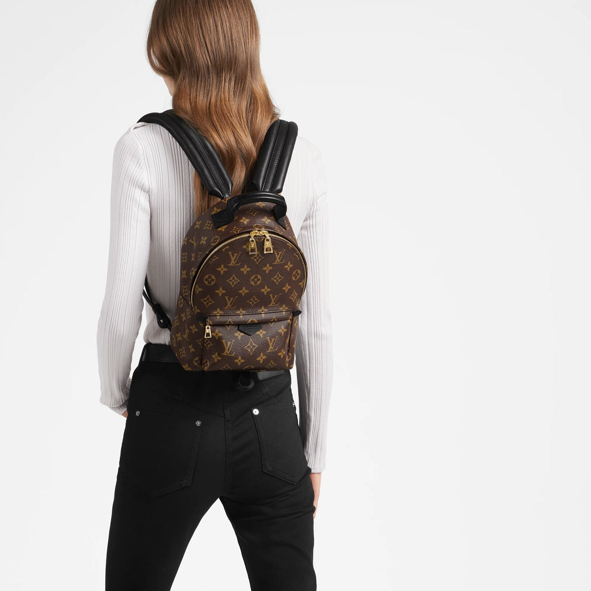 Louis Vuitton Palm Springs PM Handbag